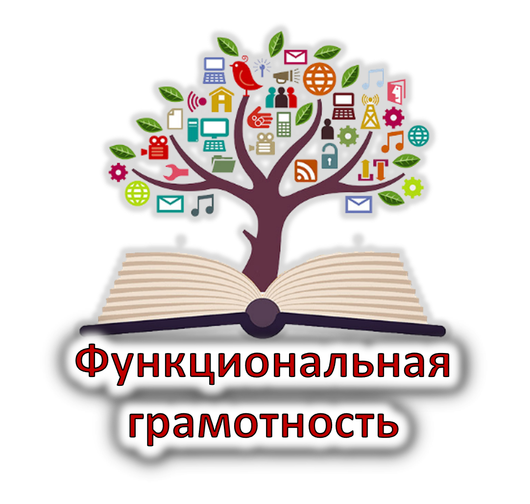 «Функциональная грамотность как основа системно-деятельностного подхода в рамках реализации Федеральных государственных образовательных стандартов».